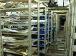 Wheel well moldings